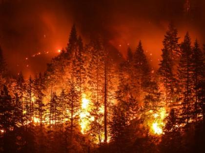 Erhebliche Waldbrandgefahr
