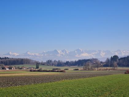 1. August-Feiertag: Öffnungszeiten Werkhof Bannholz am Vortag